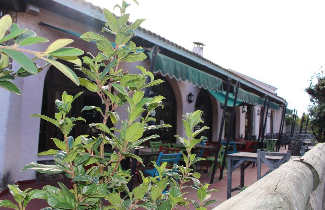 Hosteria Del Parque San José de Mayo Exteriér fotografie